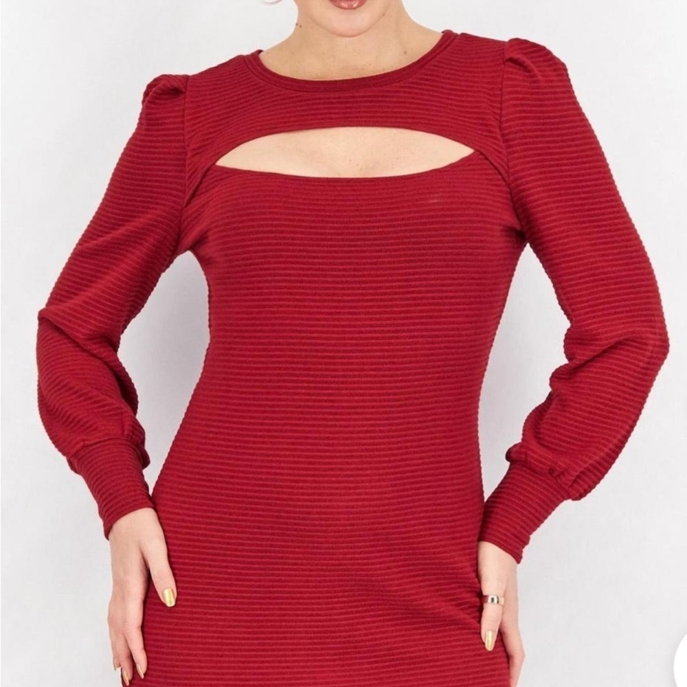 BB Dakota Burgundy Ribbed Long Sleeve Dress